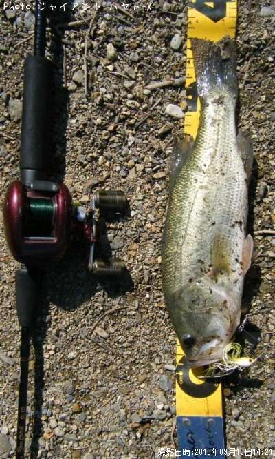 �֥�å��Х�