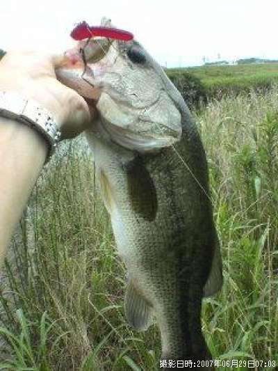 �֥�å��Х�