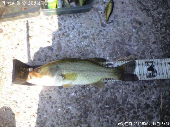 �֥�å��Х�