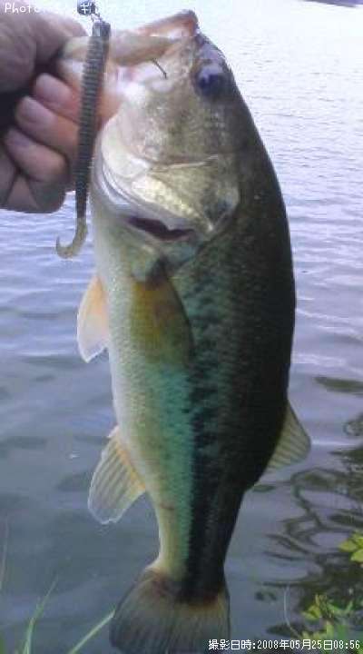 �֥�å��Х�