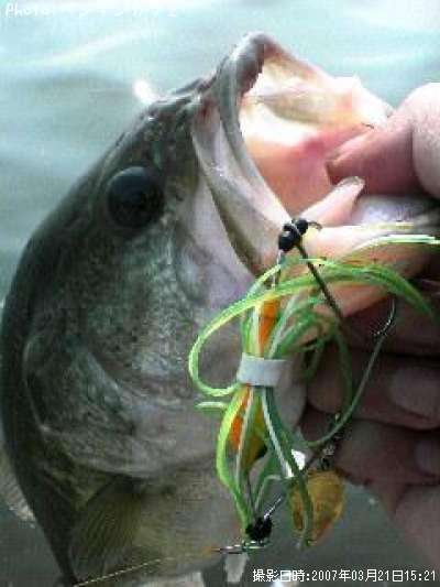 �֥�å��Х�