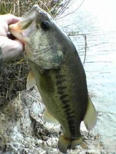 �֥�å��Х�