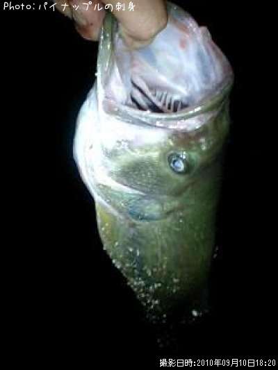 �֥�å��Х�