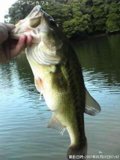 �֥�å��Х�