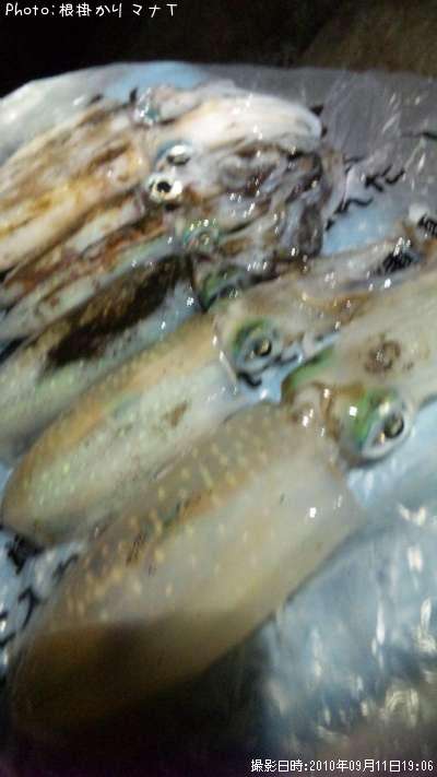 �����ꥤ��