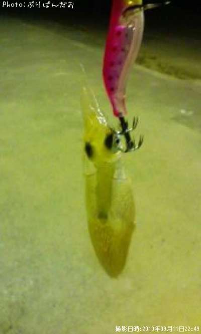 �����ꥤ��