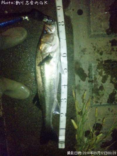 �����Х�