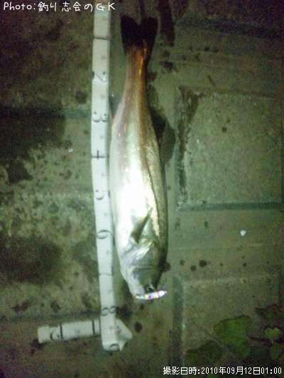 �����Х�