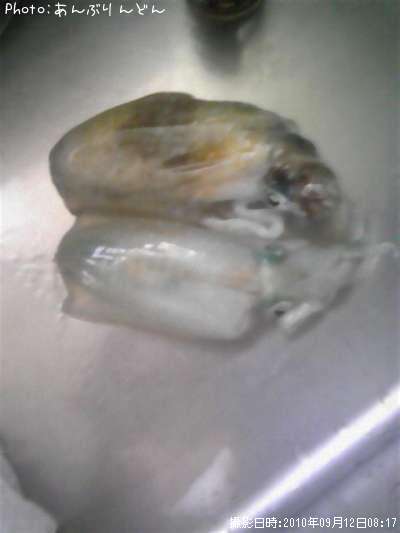 �����ꥤ��