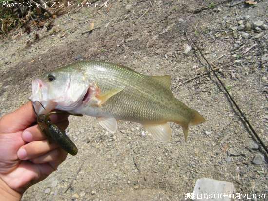 �֥�å��Х�