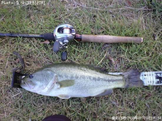 �֥�å��Х�