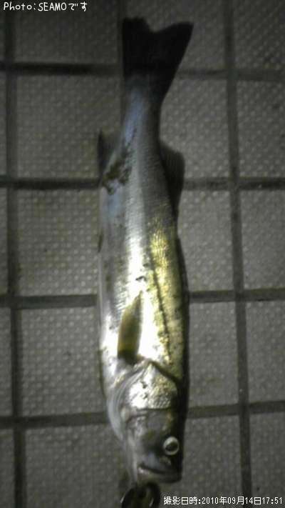 �����Х�