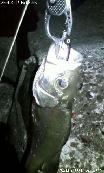 �����Х�