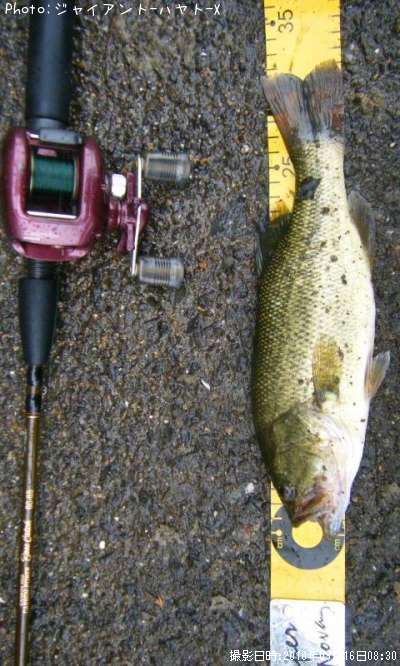 �֥�å��Х�