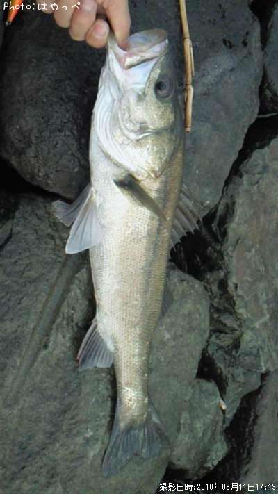 �����Х�