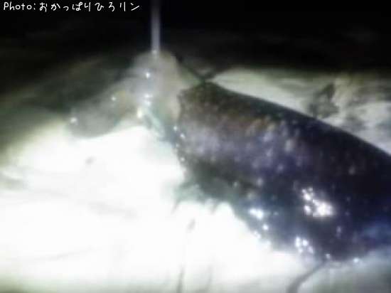 �����ꥤ��