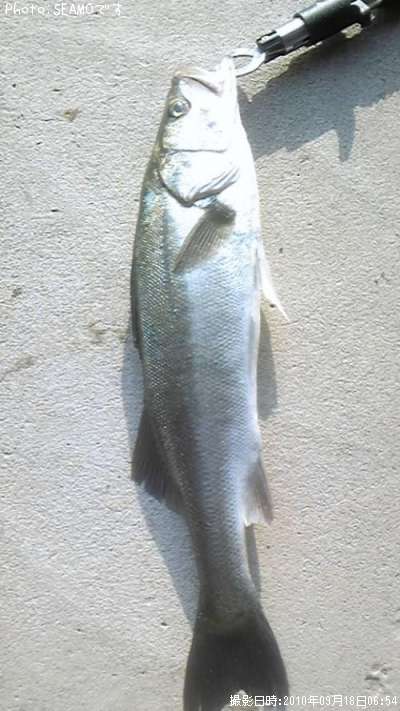 �����Х�