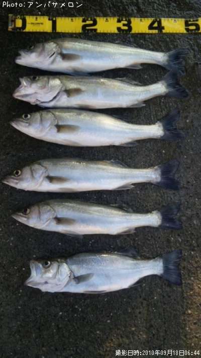 �����Х�