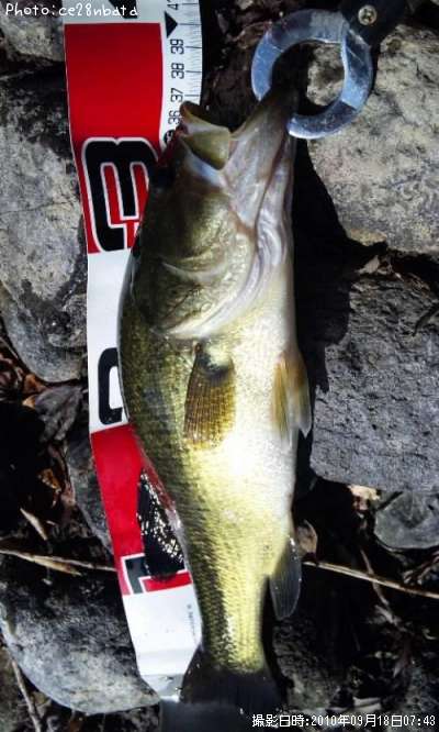 �֥�å��Х�