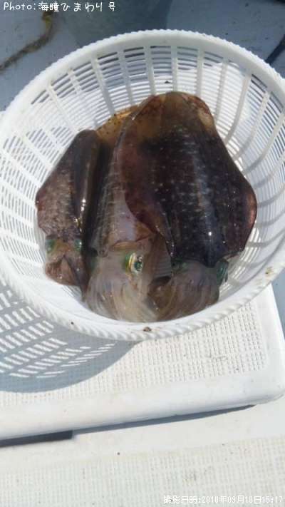 �����ꥤ��