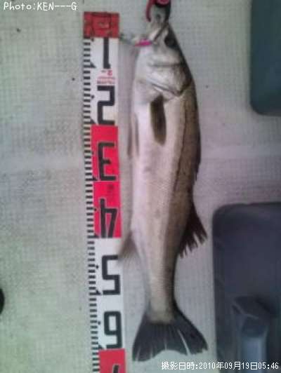 �����Х�