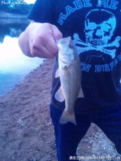 �֥�å��Х�