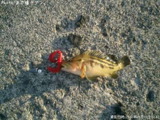 ���ޥ���