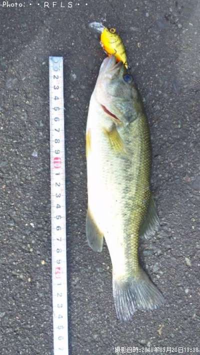 �֥�å��Х�