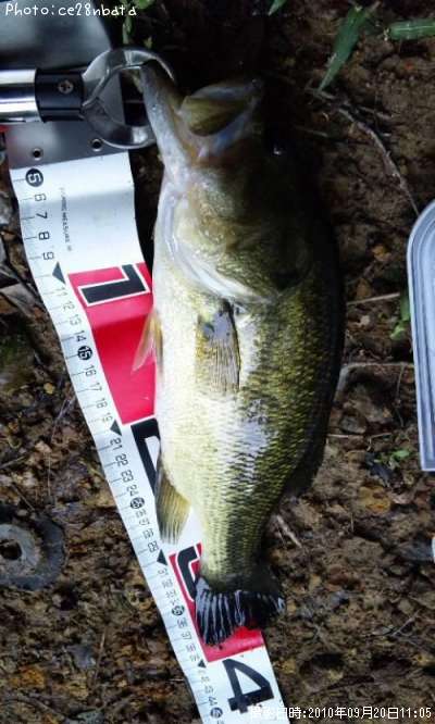 �֥�å��Х�