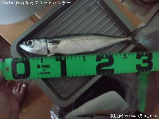 ���ޥ���