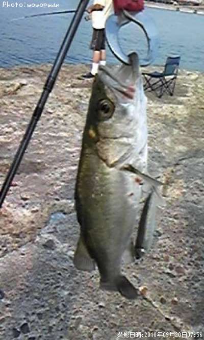 �����Х�