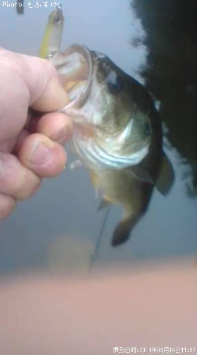 �֥�å��Х�