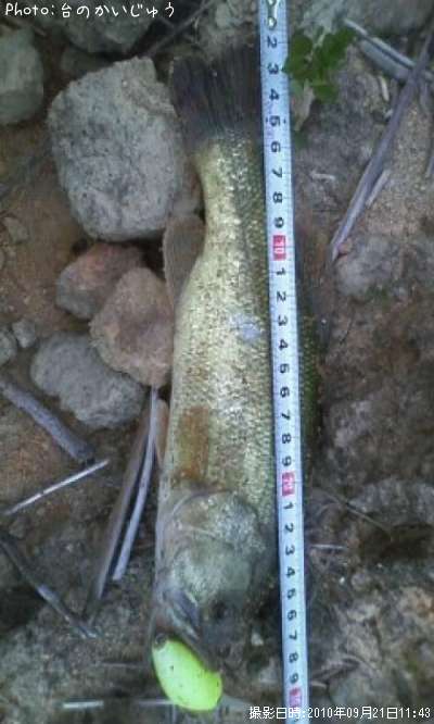 �֥�å��Х�