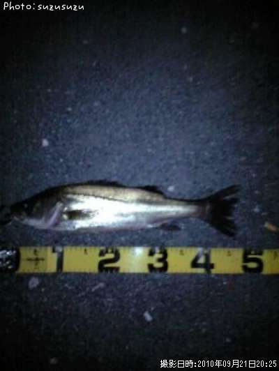 �����Х�