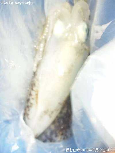 �����ꥤ��