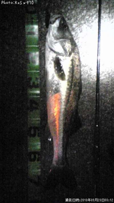 �����Х�