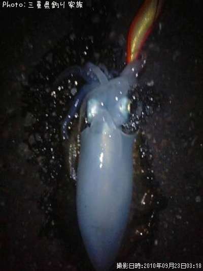 �����ꥤ��