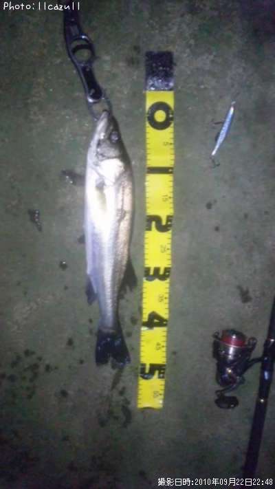 �����Х�