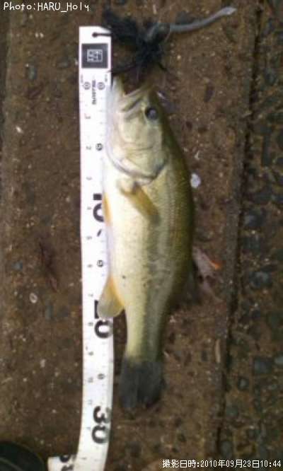 �֥�å��Х�