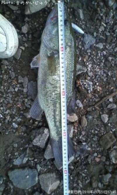 �֥�å��Х�