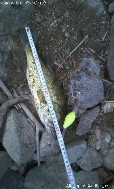 �֥�å��Х�