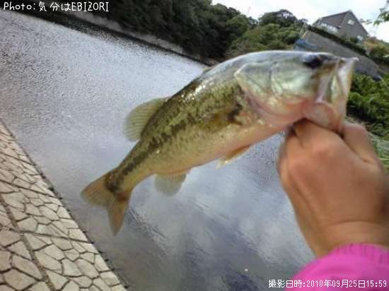 �֥�å��Х�