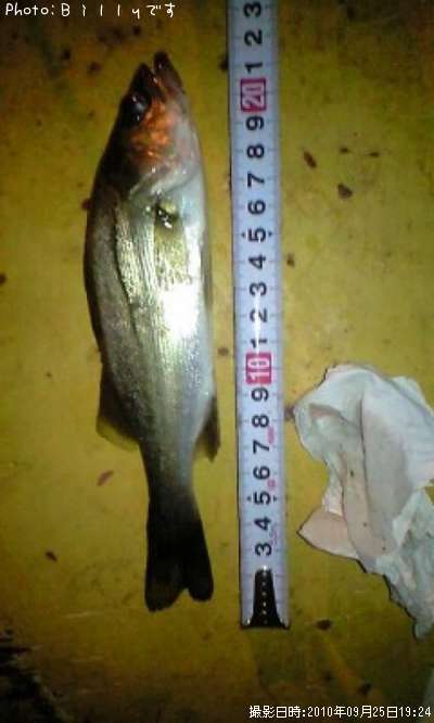 �����Х�