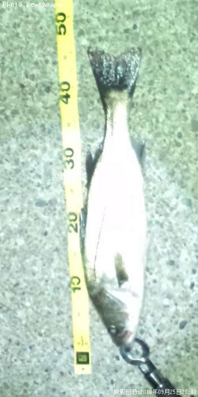 �����Х�