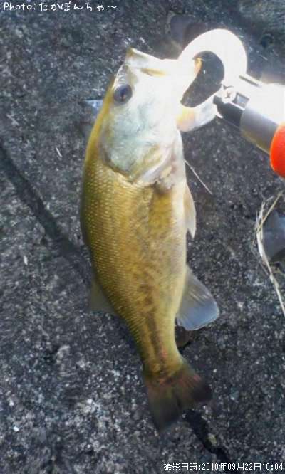 �֥�å��Х�