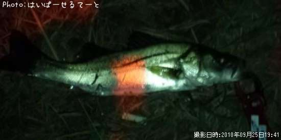 �����Х�