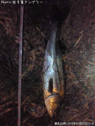 �����Х�