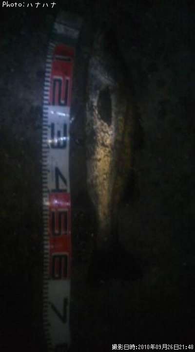 �����Х�