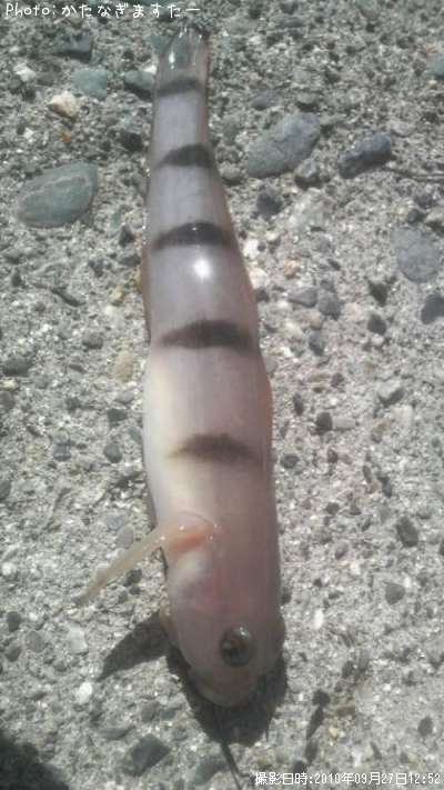 ��奦�����ϥ�