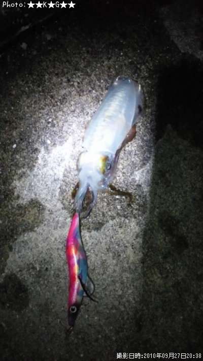 �����ꥤ��